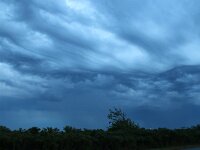 NL, Noord-Holland, Texel, Altostratus (undulatus) asperitas, Ruige Hoek 6, Saxifraga-Foto Fitis-Sytske Dijksen