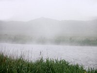 NL, Noord-Holland, Texel, Arctic sea smoke, Groote Vlak 21, Saxifraga-Foto Fitis-Sytske Dijksen