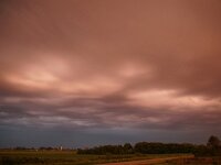 NL, Noord-Holland, Texel, Aspiritusclouds 1, Saxifraga-Foto Fitis-Sytske Dijksen