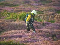NL, Noord-Holland, Texel, Ayeslag 1, Saxifraga-Foto Fitis-Sytske Dijksen
