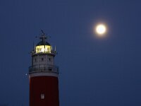 NL, Noord-Holland, Texel, De Cocksdorp 42, Saxifraga-Bart Vastenhouw