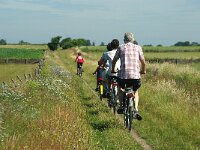 NL, Noord-Holland, Texel, De Hooge Berg 36, Saxifraga-Foto Fitis-Sytske Dijksen