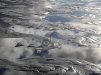 NL, Noord-Holland, Texel, De Hors 113, Saxifraga-Foto Fitis-Sytske Dijksen