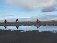 NL, Noord-Holland, Texel, De Hors 130, Saxifraga-Foto Fitis-Sytske Dijksen