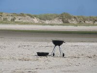 NL, Noord-Holland, Texel, De Hors 139, Saxifraga-Foto Fitis-Sytske Dijksen