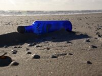 NL, Noord-Holland, Texel, De Hors 140, Saxifraga-Foto Fitis-Sytske Dijksen