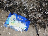 NL, Noord-Holland, Texel, De Hors 142, Saxifraga-Foto Fitis-Sytske Dijksen