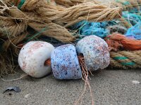 NL, Noord-Holland, Texel, De Hors 143, Saxifraga-Foto Fitis-Sytske Dijksen