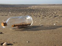 NL, Noord-Holland, Texel, De Hors 144, Saxifraga-Foto Fitis-Sytske Dijksen