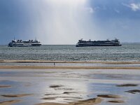NL, Noord-Holland, Texel, De Hors 158, Saxifraga-Foto Fitis-Sytske Dijksen