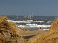NL, Noord-Holland, Texel, De Hors 160, Saxifraga-Foto Fitis-Sytske Dijksen