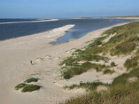 NL, Noord-Holland, Texel, De Hors 163, Saxifraga-Foto Fitis-Sytske Dijksen