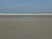 NL, Noord-Holland, Texel, De Hors 27, Saxifraga-Willem van Kruijsbergen