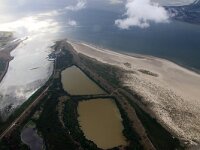 NL, Noord-Holland, Texel, De Horsmeertjes 19, Saxifraga-Foto Fitis-Sytske Dijksen