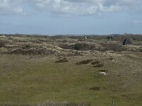 NL, Noord-Holland, Texel, De Muy 29, Saxifraga-Willem van Kruijsbergen