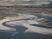 NL, Noord-Holland, Texel, De Slufter 135, Saxifraga-Foto Fitis-Sytske Dijksen