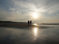 NL, Noord-Holland, Texel, De Slufter 138, Saxifraga-Foto Fitis-Sytske Dijksen
