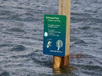 NL, Noord-Holland, Texel, De Slufter 147, Saxifraga-Foto Fitis-Sytske Dijksen