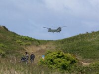 NL, Noord-Holland, Texel, Duinpark 1, Saxifraga-Foto Fitis-Sytske Dijksen