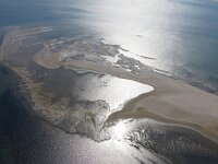 NL, Noord-Holland, Texel, Eierlandse Gat 12, Saxifraga-Foto Fitis-Sytske Dijksen