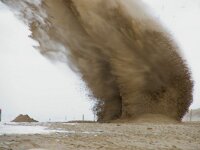 NL, Noord-Holland, Texel, Gasthuisstraatontploffing, paal 12 6, Saxifraga-Foto Fitis-Sytske Dijksen
