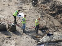NL, Noord-Holland, Texel, Groene Plaats 1, Saxifraga-Foto Fitis-Sytske Dijksen