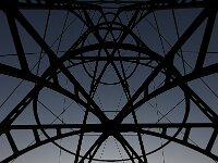 NL, Noord-Holland, Texel, IJzeren Kaap 1, Saxifraga-Foto Fitis-Sytske Dijksen