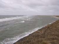 NL, Noord-Holland, Texel, Inundation, De Hors 189, Saxifraga-Foto Fitis-Sytske Dijksen