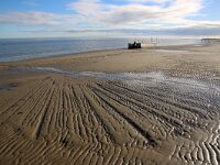 NL, Noord-Holland, Texel, Kwelder De Volharding 34, Saxifraga-Foto Fitis-Sytske Dijksen