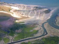 NL, Noord-Holland, Texel, Kwelder de Volharding 5, Saxifraga-Foto Fitis-Sytske Dijksen