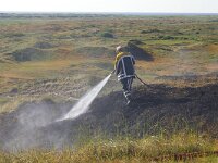 NL, Noord-Holland, Texel, Loodsmansduin 3, Saxifraga-Foto Fitis-Sytske Dijksen