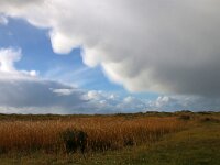 NL, Noord-Holland, Texel, Mammatocumulus, De Hors 193, Saxifraga-Foto Fitis-Sytske Dijksen