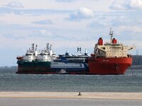 NL, Noord-Holland, Texel, Marsdiep 12, Saxifraga-Foto Fitis-Sytske Dijksen