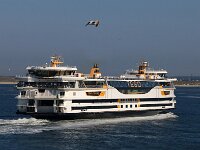 NL, Noord-Holland, Texel, Marsdiep 9, Saxifraga-Foto Fitis-Sytske Dijksen