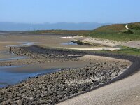 NL, Noord-Holland, Texel, Mokbaai 24, Saxifraga-Foto Fitis-Sytske Dijksen
