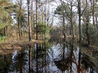 NL, Noord-Holland, Texel, Nattevlakweg 1, Saxifraga-Foto Fitis-Sytske Dijksen