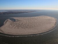 NL, Noord-Holland, Texel, Noorderhaaks 21, Saxifraga-Foto Fitis-Sytske Dijksen