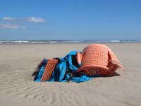NL, Noord-Holland, Texel, Noorderhaaks 9, Saxifraga-Foto Fitis-Sytske Dijksen