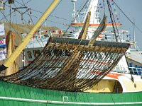 NL, Noord-Holland, Texel, Oudeschild 16, sumwing, Saxifraga-Foto Fitis-Sytske Dijksen