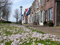 NL, Noord-Holland, Texel, Oudeschild 22, Saxifraga-Foto Fitis-Sytske Dijksen