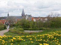 NL, Noord-Holland, Texel, Oudeschild 23, Saxifraga-Foto Fitis-Sytske Dijksen