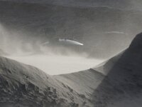 NL, Noord-Holland, Texel, Paal 12 19, Saxifraga-Foto Fitis-Sytske Dijksen