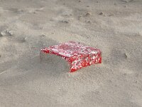 NL, Noord-Holland, Texel, Paal 13 7, Saxifraga-Foto Fitis-Sytske Dijksen