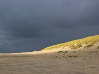NL, Noord-Holland, Texel, Paal 14 2, Saxifraga-Foto Fitis-Sytske Dijksen