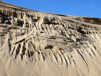 NL, Noord-Holland, Texel, Paal 16 10, Saxifraga-Foto Fitis-Sytske Dijksen