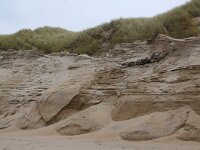 NL, Noord-Holland, Texel, Paal 27 3, Saxifraga-Foto Fitis-Sytske Dijksen