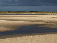 NL, Noord-Holland, Texel, Paal 6 2, De Hors 169, Saxifraga-Foto Fitis-Sytske Dijksen