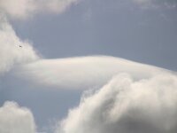 NL, Noord-Holland, Texel, Paal 8 51, volcanoshaped cloud, Saxifraga-Sytske Dijksen