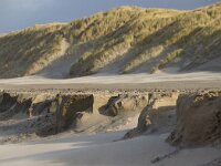 NL, Noord-Holland, Texel, Paal 9 57, Saxifraga-Foto Fitis-Sytske Dijksen