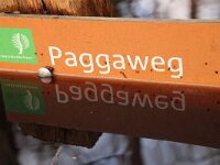 NL, Noord-Holland, Texel, Paggas Paadje 1, Saxifraga-Foto Fitis-Sytske Dijksen